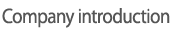 Company introduction